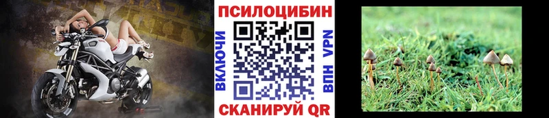 Галлюциногенные грибы MAGIC MUSHROOMS Дмитриев